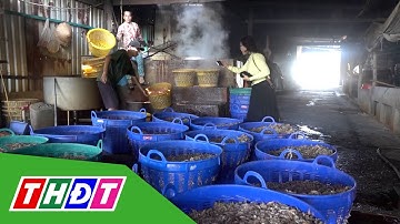Người dân Phú Quốc nhộn nhịp làm tôm khô, cá khô bán Tết | THDT