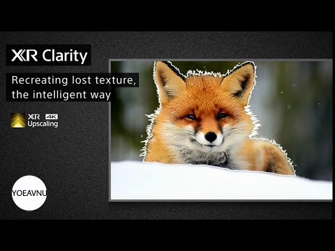 Sony - Full Array LED panel • Sony BRAVIA XR X90J 4K HDR TV - YouTube