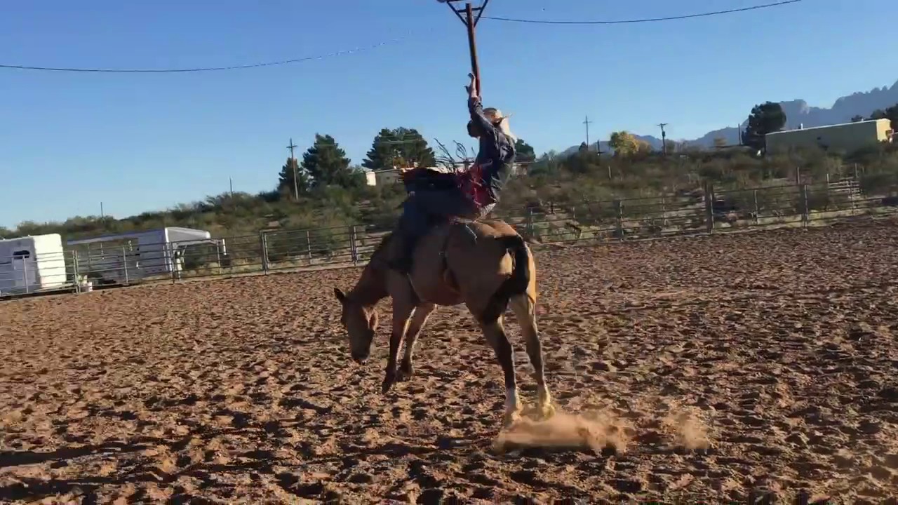 Broncs For Breakfast YouTube