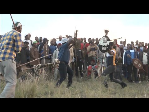 Emgangeni - umgangela Zulu stick fighting- 29 May 2023