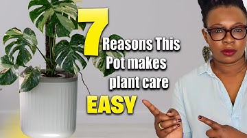 7 Ways This Planter Solves Your Plant Problems: Vego Garden Review