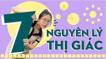 7 nguyên lý thị giác cơ bản trong thiết kế đồ họa