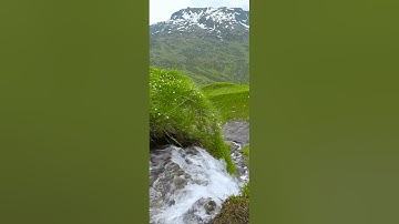 فضيلة القارئ الشيخ عبد اللة محمد عزب كل سنة وانتيم طيبين بمناسبت عيد الفطر