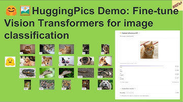 HuggingPics Demo: Fine-tune  ViT  for image classification using HF Transformers  #computervision