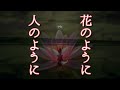 花のように、人のように。【今だからこそ再び】