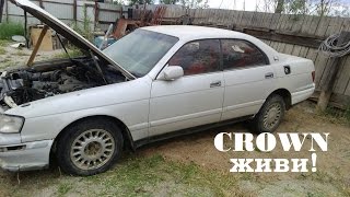 #Crown ЖИВИ! Блог ни о чём