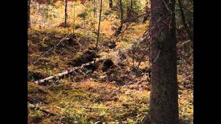 Kalmankantaja - Hallanhenki