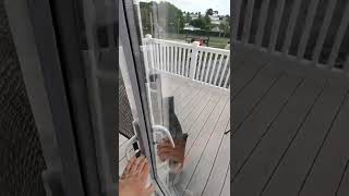 Haven Devon Cliffs Platinum Caravan With Decking 20Th May - 27Th May