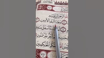 سورة التين
