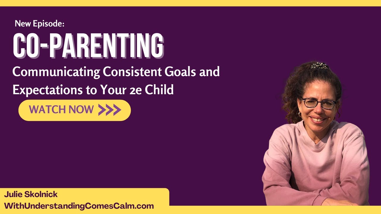 Co-Parenting: Communicating Consistent Goals and Expectations to Your 2e Child