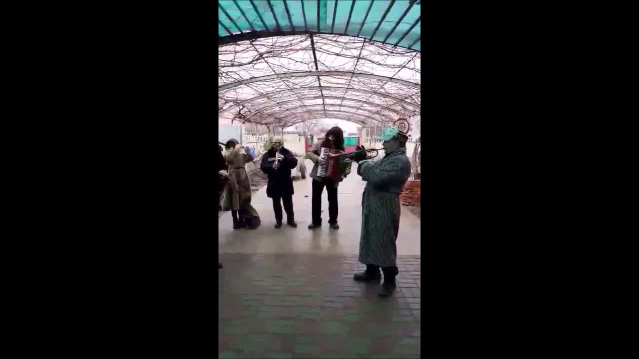 Haituri de la Tudora