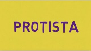 Pembelajaran Biologi Protista Kelas X MIPA 3 - SMAN 81 Jakarta