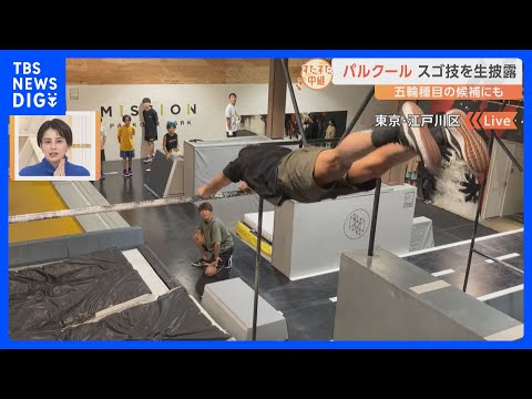アクロバティックな動きで人気急上昇。フランス発祥のスポーツ「パルクール」のトレーニング施設でスゴ技を続々披露【すたすた中継】｜TBS NEWS DIG