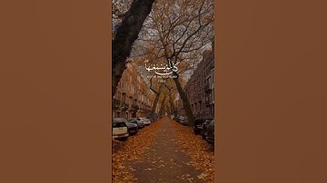 ويل لكل أفاك أثيم [الجاثية] القارئ #ياسر_الدوسري