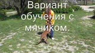 Training of flip. Обучение флипу. Training of flip. Обучение флипу.