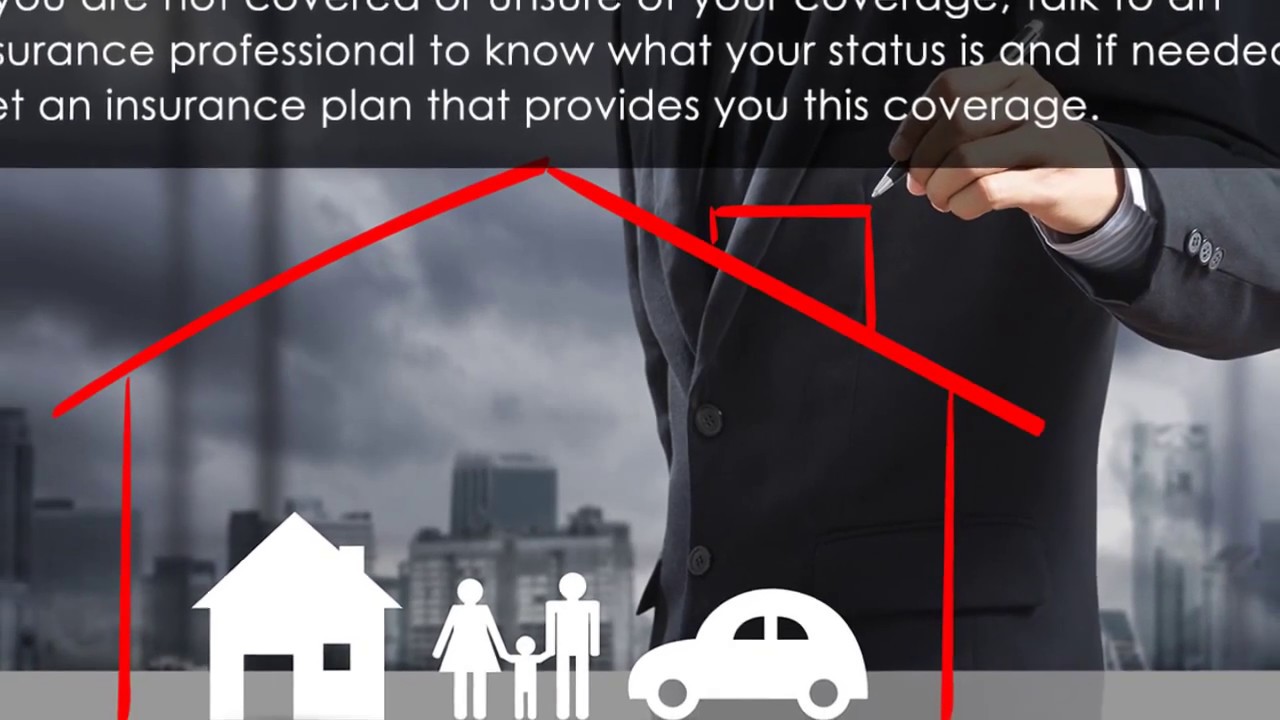 Insurance by Allied Brokers - Bay Area, CA - Solving Clients' Needs Since 1954