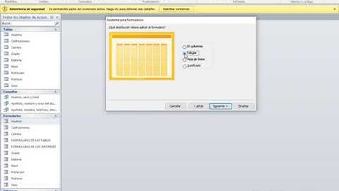 Como crear formularios a las consultas en Access