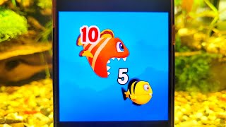 love fish - fishdom mobile game