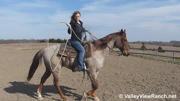 JT - roping - ValleyViewRanch.net