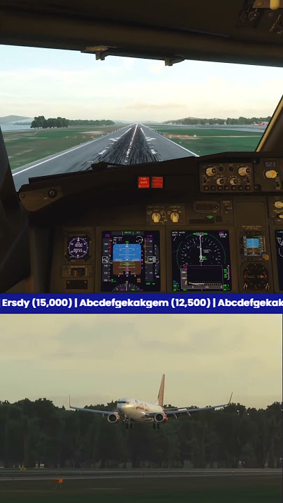 REAL PILOTS WATCH THEM 😭 #msfs2020 #airplanepilot #batikair #airplane