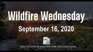 Wildfire Wednesday September 16, 2020
