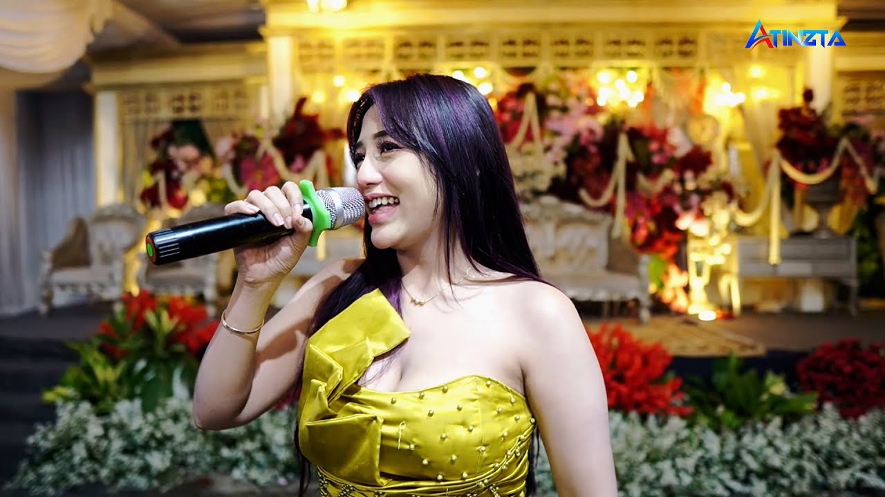 AISHITERU KERI KERI - DINA DHEMES - ADMAJA MUSIK - MM AUDIO - LIVE MOJOSONGO BOYOLALI