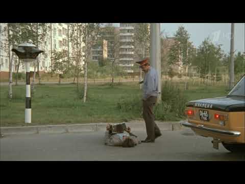 Обломал немало веток