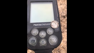 Metal Detecting With Nokta Makro Simplex Metal Detector - Silver Dimes and a Curious Whitetail Buck