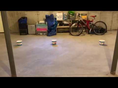 Bed Bug Detection Dog Mass Bed Bug Detection K9s