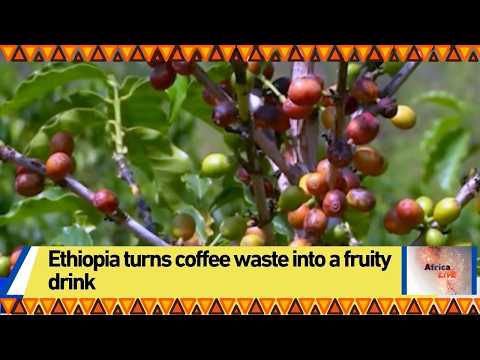 Ethiopia turns coffee waste into a fruity drink