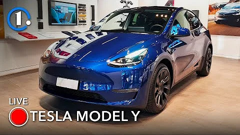 Quando esce Tesla Y?