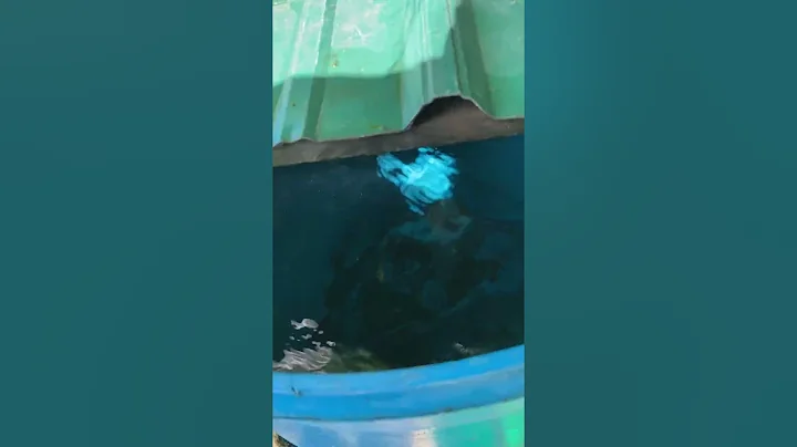 dry camping Boondocking water fullsizeoutput 2003