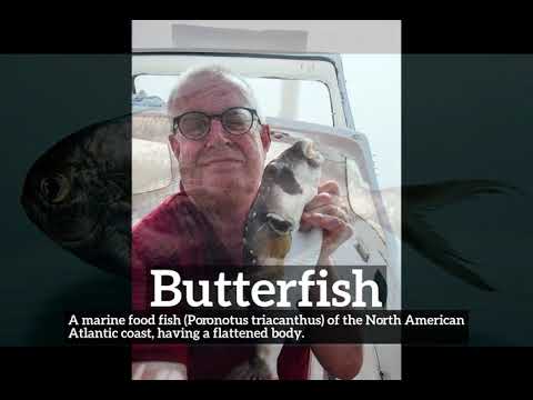 What Is Butterfish In Tagalog