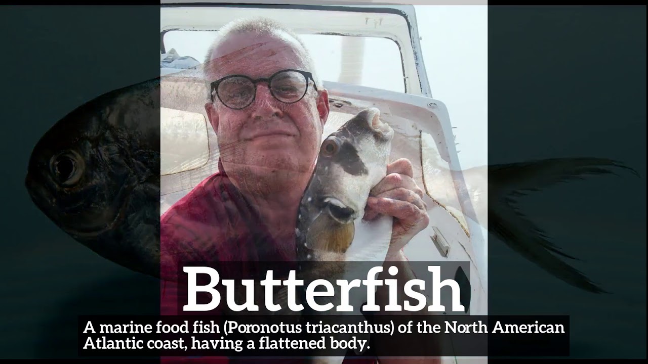What is Butterfish? How to Say Butterfish in English? How Does