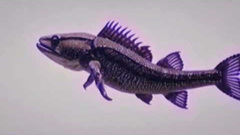 76dd9a6f 1921 4298 b8c0 8b32aa3482a7