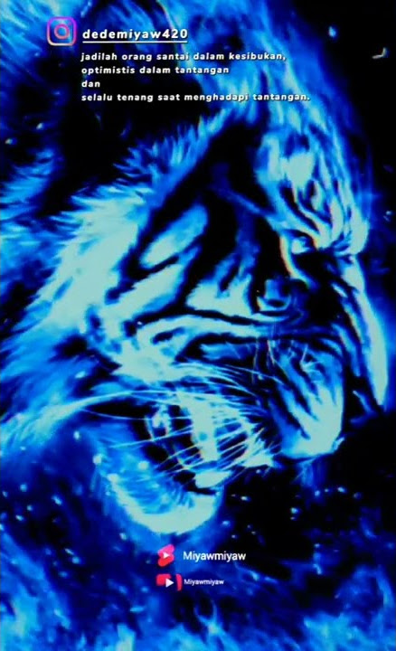 story wa harimau putih l seperti pion biar kecil tak pernah mundur #shorts #motivation
