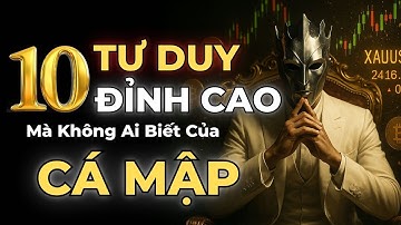 10 TƯ DUY GIAO DỊCH ĐỈNH CAO CỦA CÁ MẬP MÀ HỌ KHÔNG MUỐN CHO BẠN BIẾT | MẬT MÃ TRADING
