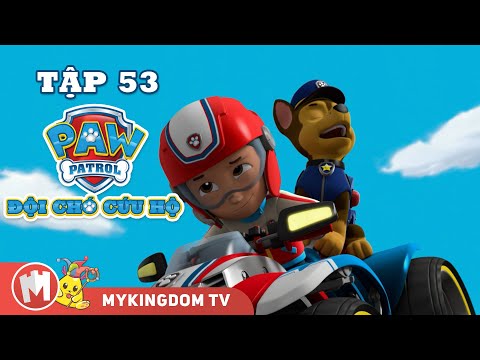 ĐỘI CHÓ CỨU HỘ PAW PATROL MINI | Tập 53 | Phim hoạt hình