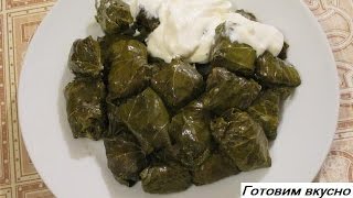 Долма в виноградных листьях / Yarpaq dolması Азербайджанская кухня / Azərbaycan mətbəxi