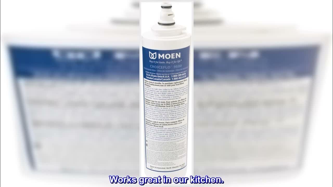 Great product Moen 9601 ChoiceFlo Replacement Water Filter Compatible
