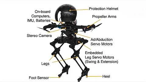 LEONARDO - a bipedal walking robot that can fly