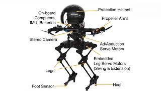 LEONARDO - a bipedal walking robot that can fly