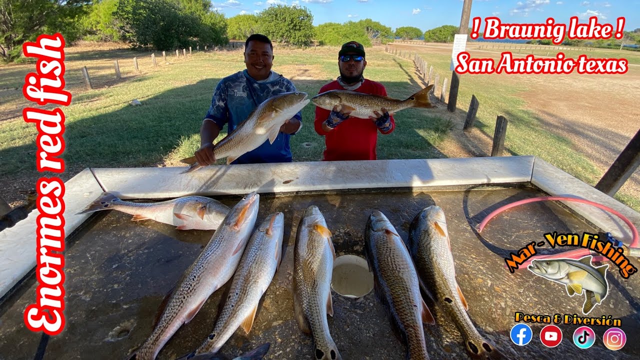 pescando en (BRAUNIG LAKE) San Antonio texas PARTE 3 texas fishing 