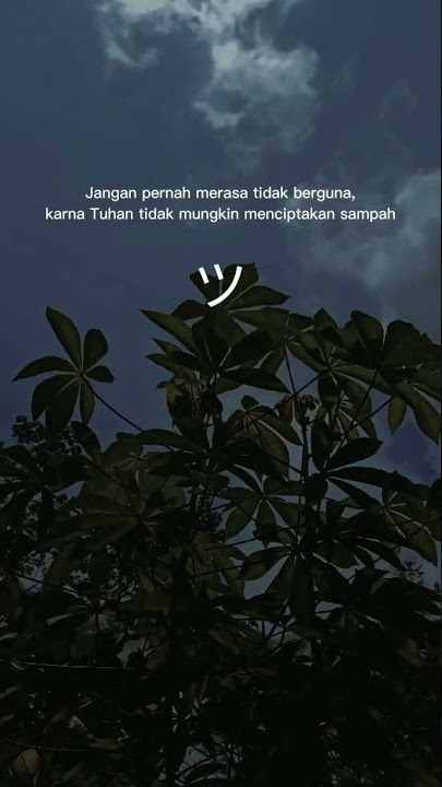 Untuk history wa masse