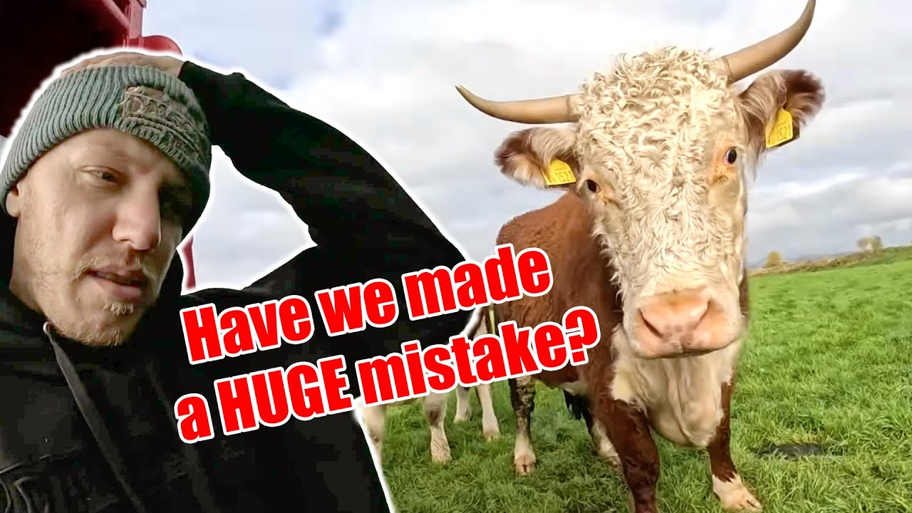 Things Go South... AGAIN!