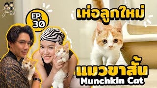 เห่อลูกใหม่ แมวขาสั้น Munchkin Cat Journey ที่รัก ep.30