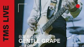 Gentle Grape - 在夏天过去之 | TMS Live Shanghai (Concert in China)