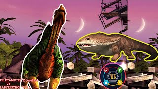 Battle Team Dino Pelecanipteryx Level 350 Vs Team Dino Labyrinthodontia