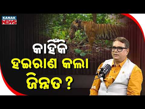 କାହିଁକି ହଇରାଣ କଲା ଜିନ୍ନତ? | Ama Atithi Podcast | Dr. Anup Nayak | Kanak News