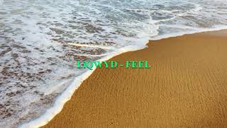 Download Lagu LiQWYD - Feel MP3